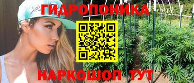 твердый Бердск
