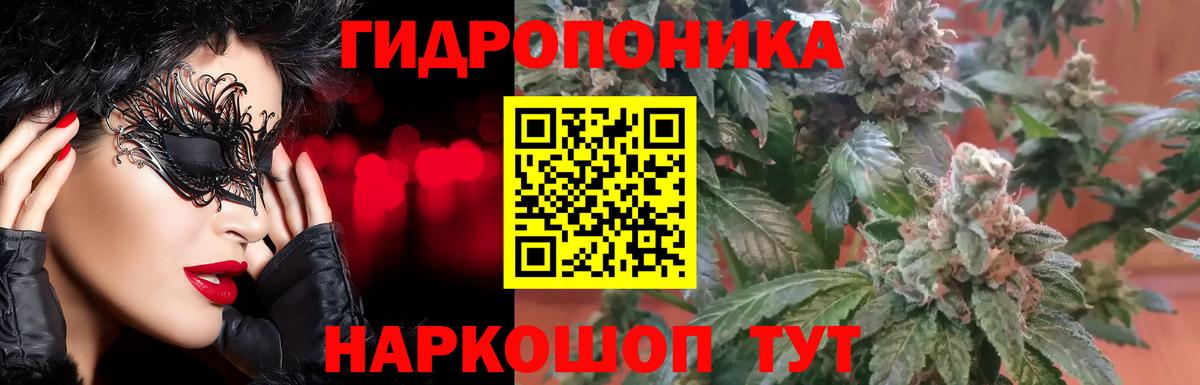 Каннабис Ganja  Вход с VPN  МАРИХУАНА планчик  Знаменск  Конопля ГИДРОПОН 